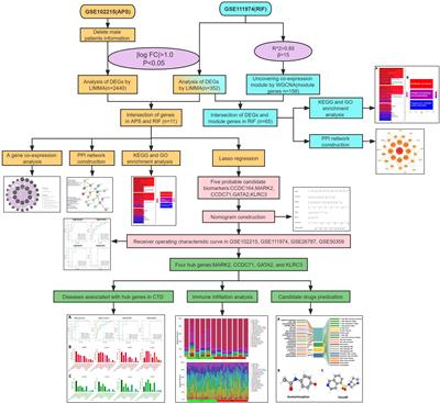 Identification of MARK2, CCDC71, GATA2, and KLRC3 as candidate diagnostic genes and potential therapeutic targets for repeated implantation failure with antiphospholipid syndrome by integrated bioinformatics analysis and machine learning